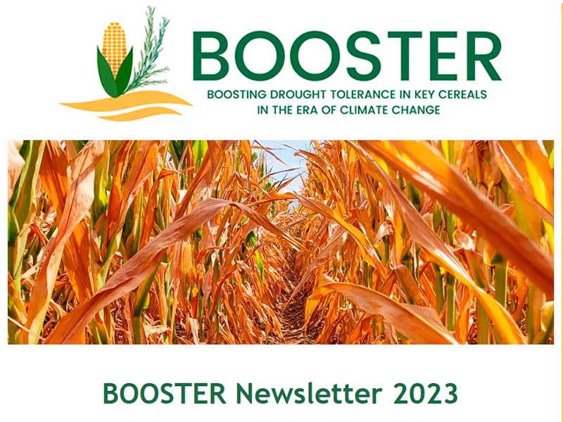 Booster project newsletter 2023