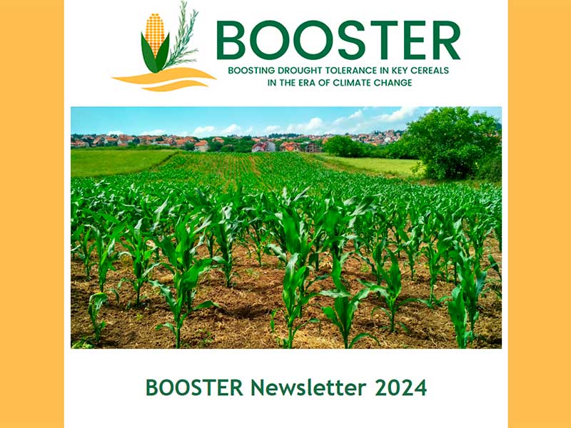 BOOSTER Project Newsletter 2023