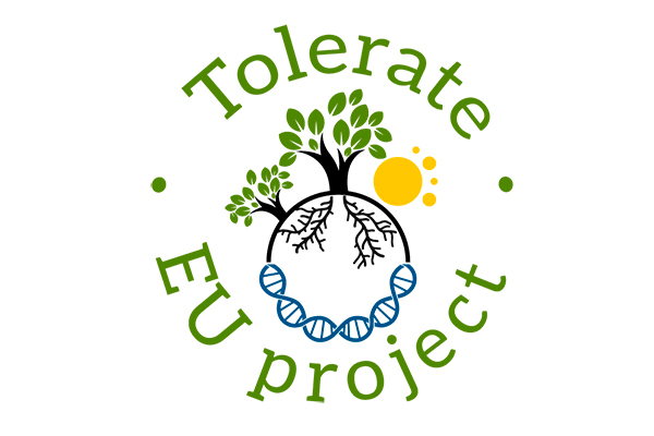 Booster - Related-projects - Tolerate