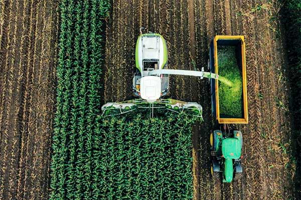 New European project aims to create drought-resilient crops