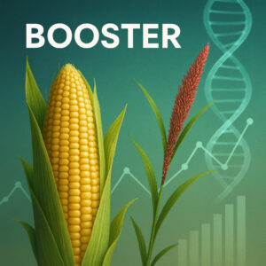 Booster Newsletter 2025 02