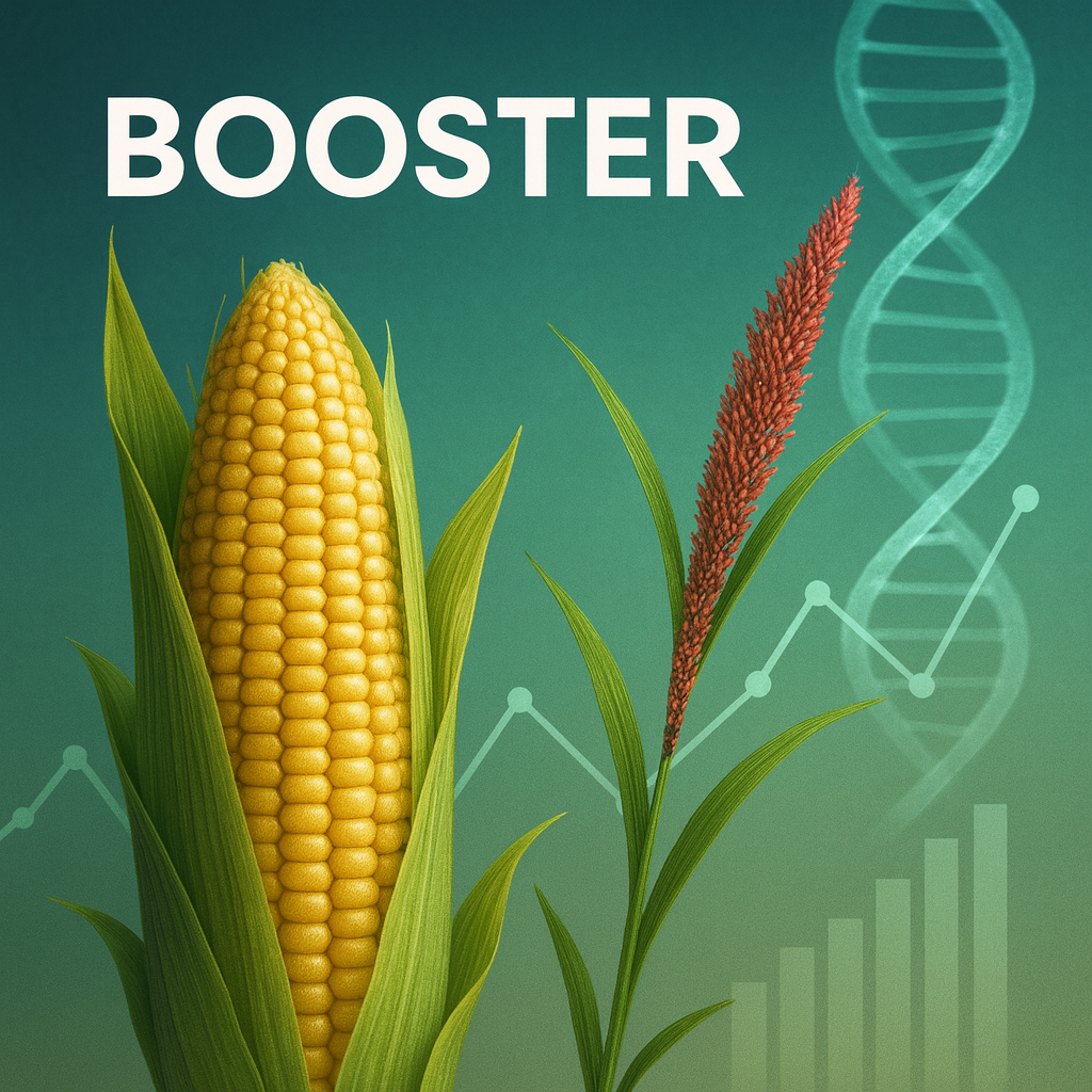 Booster Newsletter 2025 02