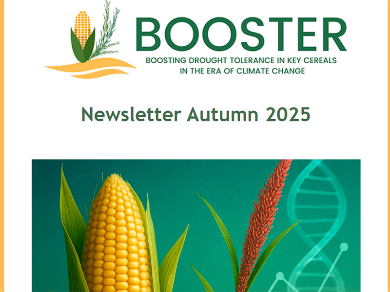 Booster-Newsletter-Autumn-2025-01 BOOSTER Project Newsletter 2025